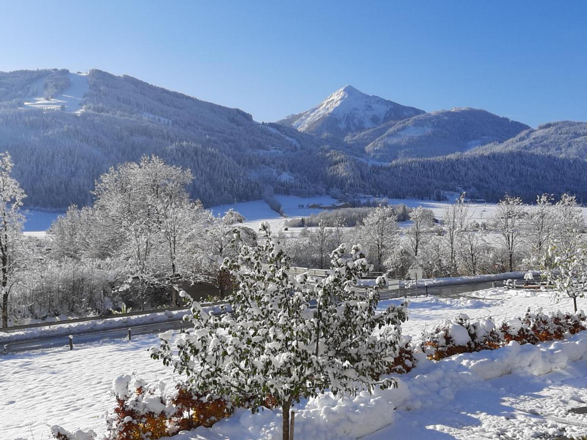 Filzerlehen Villa Radstadt Dış mekan fotoğraf