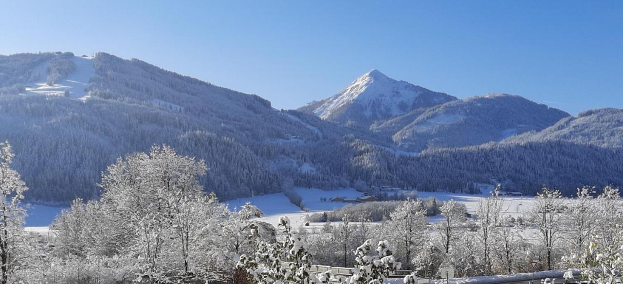 Filzerlehen Villa Radstadt Dış mekan fotoğraf