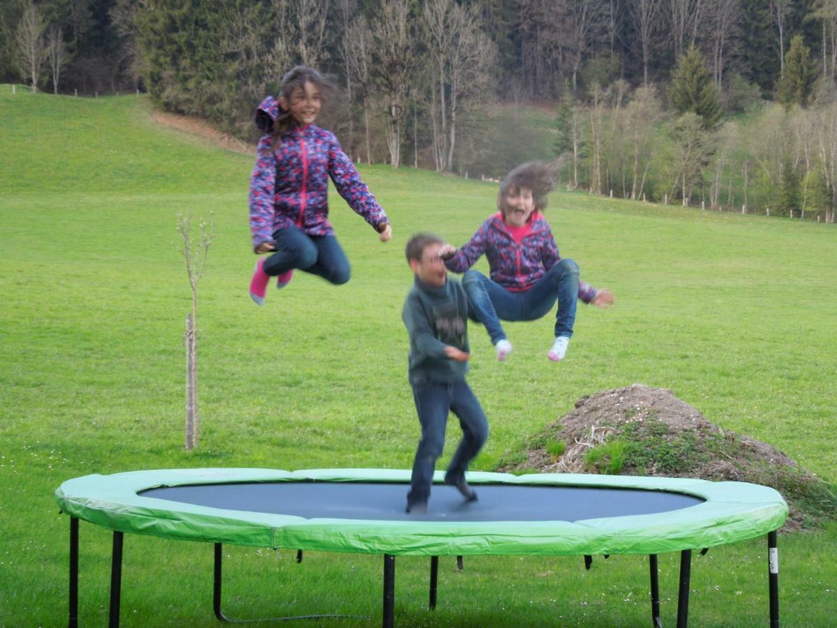 Filzerlehen Villa Radstadt Dış mekan fotoğraf